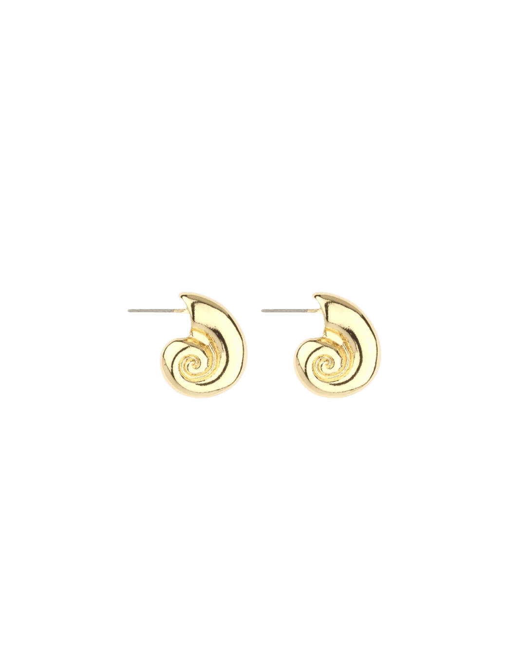 Spiral Shell Earrings